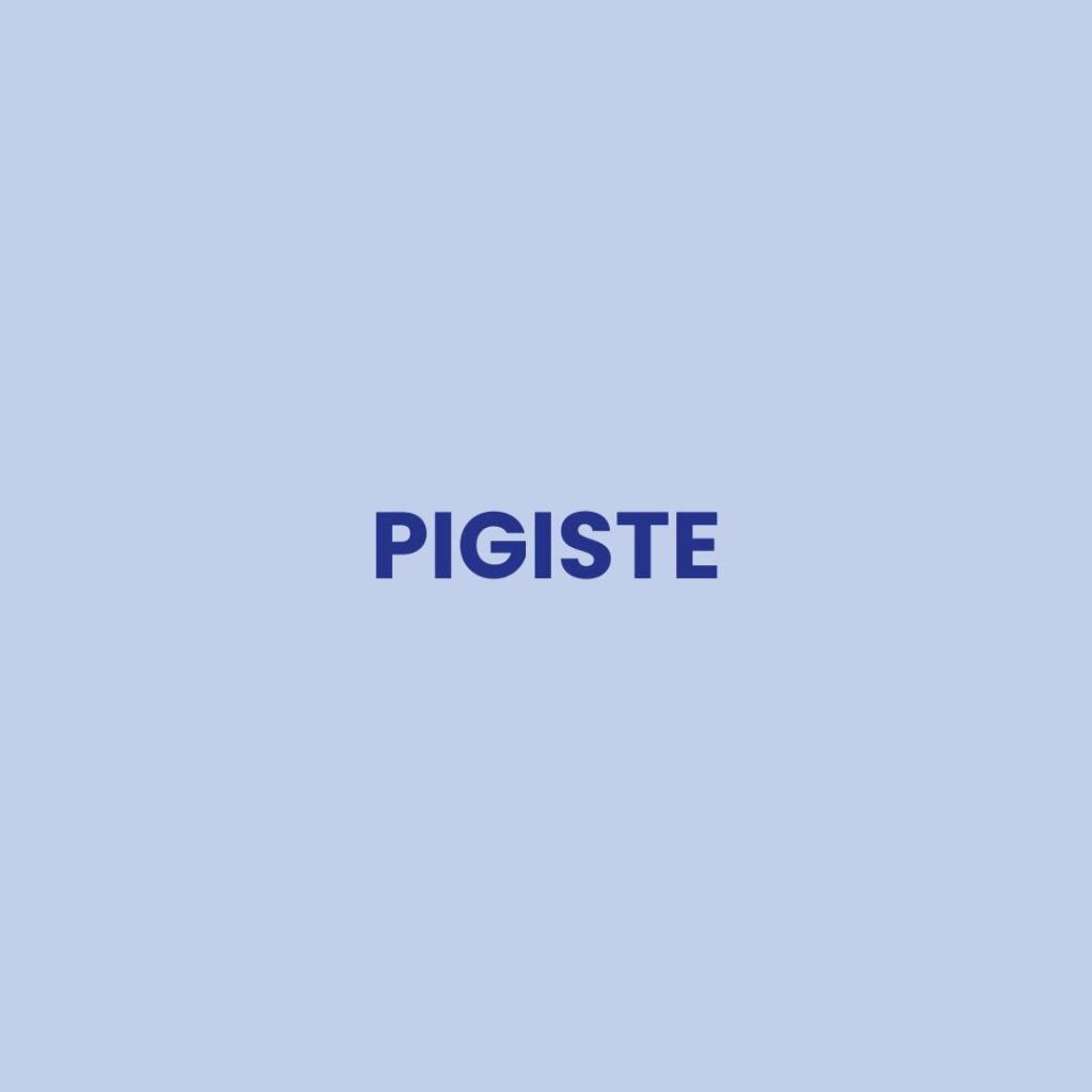 Pigiste