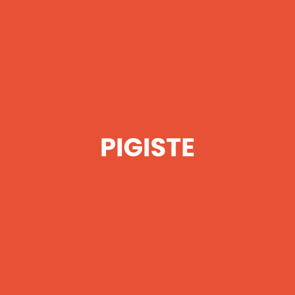 Pigiste