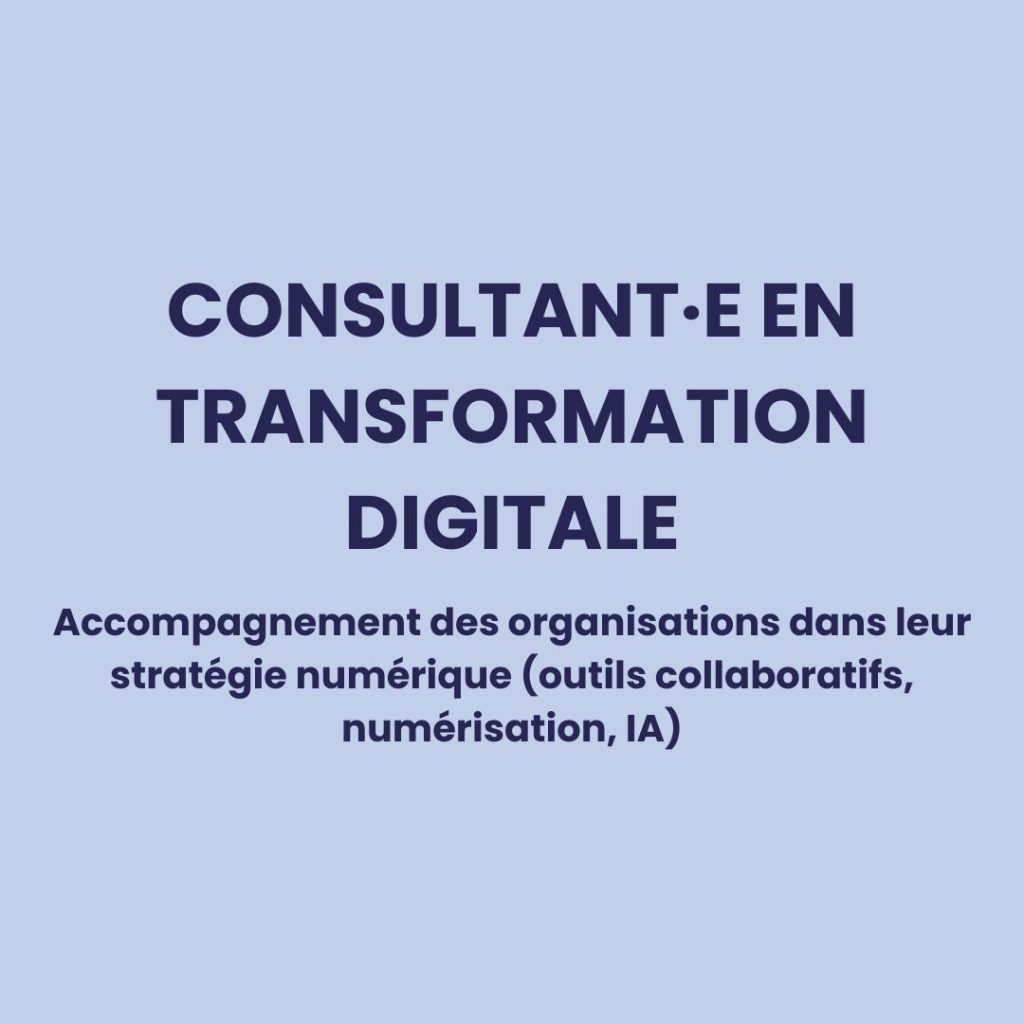 Consultant·e en transformation digitale