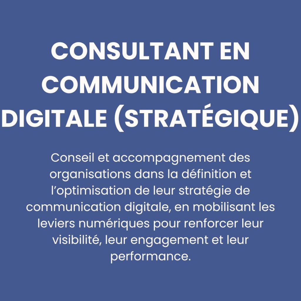 Consultant en communication digitale (stratégique)