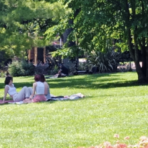 Alors que la ville transpire et s’agite, le jardin Lecoq offre une parenthèse bienvenue. Un écrin de nature à savourer sans modération, avant que l’été ne batte son plein. Photo : Y dos Santos pour IFIC média