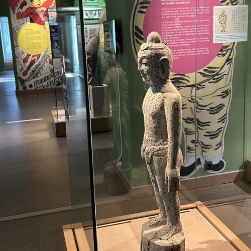 Le privilège d&rsquo;apprendre par la culture